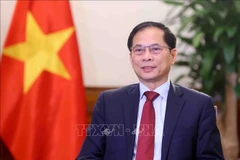 le vice-Premier ministre et ministre des Affaires étrangères du Vietnam, Bui Thanh Son. Photo: VNA