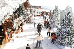 Da Lat se pare des couleurs chatoyantes de Noël en cette fin d'année. Photo : baodautu.vn