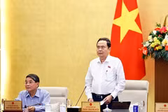Le président de l'Assemblée nationale, Tran Thanh Man, lors de la réunion. Photo: VNA