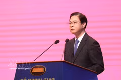 Le vice-ministre des Affaires étrangères Ngo Le Van. Photo: VNA