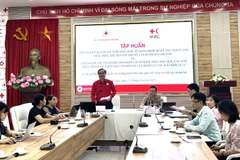 Panorama de la formation. Photo: nhandan.vn