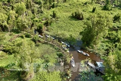 Le Vietnam renforcera également la coopération régionale et internationale à travers des échanges réguliers avec l’Union européenne et ses États membres sur l’évaluation des risques, les procédures et les indicateurs de suivi, l’établissement d’un dialogue avec le Centre commun de recherche (JRC) de l’UE afin d’harmoniser les données cartographiques forestières. Photo d'illustration: VNA