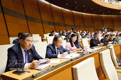 Députés lors de la remière session non ordinaire de la 16e législature de l'Assemblée nationale. Photo: VNA