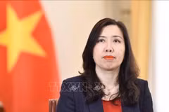 La vice-ministre des Affaires étrangères Le Thi Thu Hang. Photo: VNA