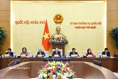 La réunion placée sous la présidence de Tran Thanh Man, membre du Bureau politique et président de l’Assemblée nationale. Photo: VNA