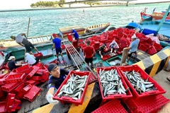 Des océans en bonne santé garantiront les moyens de subsistance de 1,45 million de travailleurs de la pêche et des communautés côtières, tout en contribuant à l’objectif national d’une économie bleue. Photo: VNA