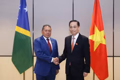 Le ministre des Affaires étrangères Le Hoai Trung (à droite) et le ministre des Affaires étrangères et du Commerce extérieur des Îles Salomon, Peter Shanel Agovaka. Photo: ministère des Affaires étrangères