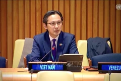 L’ambassadeur Do Hung Viet, chef de la Mission permanente du Vietnam auprès de l’ONU. Photo: VNA