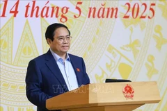 Le Premier ministre Pham Minh Chinh prend la parole lors de la réunion. Photo: VNA