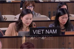 L’ambassadrice Nguyen Thi Van Anh, cheffe de la Délégation permanente du Vietnam auprès de l’UNESCO, présente l’initiative lors de la 222ᵉ session du Conseil exécutif de l’UNESCO. Photo : VNA