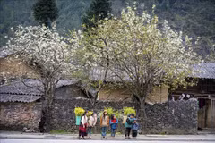 La beauté des gens et les magnifiques paysages sont des attractions pour les touristes à Ha Giang. Photo : VNA