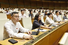 Les députés votent l'adoption de la résolution. Photo : VNA
