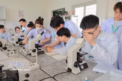 Des étudiants réalisent des analyses de cellules sanguines au microscope optique pour le diagnostic clinique des animaux. Photo : VNA