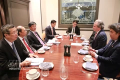 Séance de travail avec Rosen Partners. Photo: VNA