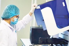 Recherches sur les gènes humains anciens à l'Institut de biologie (Académie vietnamienne des sciences et technologies). Photo : nhandan.vn