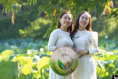 Le retour du lotus blanc impérial séduit les visiteurs à Huê