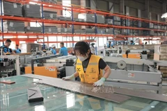 Chez la Sarl industrielle Lioncore Vietnam, province de Quang Ninh. Photo: VNA