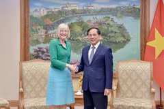 Le vice-Premier ministre et ministre des Affaires étrangères, Bui Thanh Son, et l’ambassadrice d’Australie, Gillian Bird. Photo: VNA