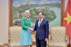 Le vice-Premier ministre et ministre des Affaires étrangères, Bui Thanh Son, et l’ambassadrice d’Australie, Gillian Bird. Photo: VNA