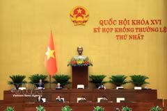 Le vice-président de l’Assemblée nationale, Nguyen Doan Anh, préside la séance. Photo : VNA