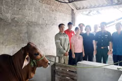 Les autorités de Hung Yen aident les habitants des zones défavorisées à accéder à des politiques de réduction durable de la pauvreté. Photo: https://suckhoedoisong.vn/