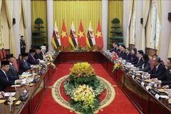 Panorama de l'événement. Photo: VNA