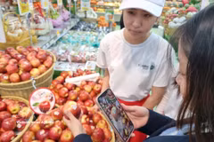 Vérification de l’origine de produits par scan d’un code QR. Photo: VNA