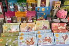 Les produits à base de riz de Sa Giang, originaires de la province de Dong Thap, s’emploient à obtenir la certification OCOP 5 étoiles et sont plébiscités sur les marchés américain et européen.