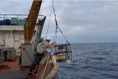 Echantillonnage de sédiments dans la zone du plateau continental du Vietnam par l'équipe d'exploration. Photo: VNA