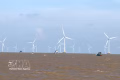 Le parc éolien offshore de la société par actions Tien Giang Wind Power. Photo : VNA