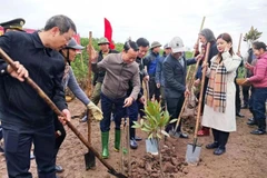 Le ministre des Ressources naturelles et de l'Environnement, Do Duc Duy, les dirigeants du Comité populaire de la province de Thai Binh et les délégués plantent des arbres dans la Réserve naturelle des zones humides de Thai Thuy. Photo : Vietnam+