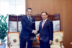 Activités du vice-Premier ministre Bui Thanh Son au Yunnan (Chine)