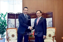 Activités du vice-Premier ministre Bui Thanh Son au Yunnan (Chine)