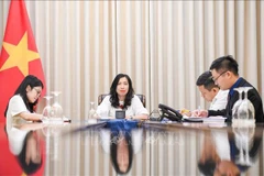 La vice-ministre des Affaires étrangères, Le Thi Thu Hang. Photo: VNA