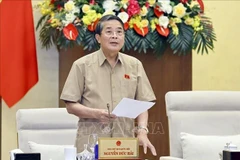 Le vice-président de l’Assemblée nationale, Nguyen Duc Hai. Photo: VNA