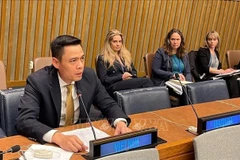 L’ambassadeur Dang Hoang Giang, chef de la Mission permanente du Vietnam auprès de l’ONU. Photo: VNA