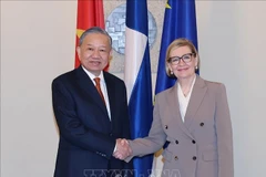 Le secrétaire général du Parti communiste du Vietnam (PCV), Tô Lâm, et la première vice-présidente du Parlement finlandais, Paula Risikko. Photo: VNA