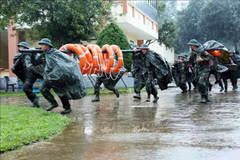 La province de Quang Tri a mobilisé plus de 5.000 officiers et soldats pour être en service, prêts à répondre aux situations durant le typhon Fengshen. Photo : VNA