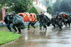 La province de Quang Tri a mobilisé plus de 5.000 officiers et soldats pour être en service, prêts à répondre aux situations durant le typhon Fengshen. Photo : VNA