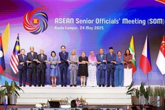 Le vice-ministre des Affaires étrangères Do Hung Viet (cinquième à partir de la gauche) avant la réunion des hauts officiels de l'ASEAN (SOM). Photo: VNA