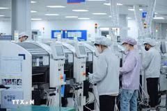 Le Vietnam s’affirme comme une destination privilégiée pour nombre d’entreprises européennes. Photo: VNA