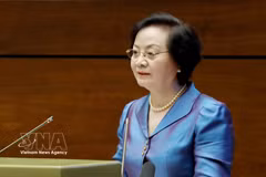 La vice-Première ministre Pham Thi Thanh Tra présent son intervention lors de la conférence dressant le bilan de la première année de fonctionnement du modèle organisationnel global du système politique et du modèle administratif à trois niveaux. Photo: VNA
