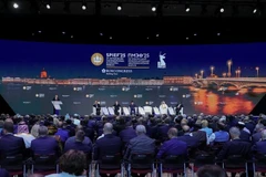 Séance plénière du SPIEF 28. Photo: VNA