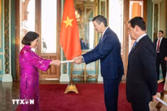 L’ambassadrice du Vietnam, Ngo Minh Nguyet, présente ses lettres de créance au président paraguayen, Santiago Peña Palacios. Photo: VNA