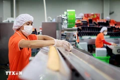En 2024, le commerce extérieur du Vietnam a atteint un niveau record de 786,3 milliards de dollars, soit une hausse de 15,4 % sur un an. Photo: VNA