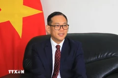 L’ambassadeur du Vietnam en Algérie, Trân Quôc Khanh. Photo: VNA