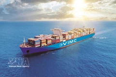 Les navires vietnamiens au Moyen-Orient renforcent les mesures de sécurité. Photo: Vietnam+