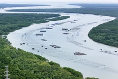 Cân Gio: entre préservation de la biodiversité et croissance économique verte