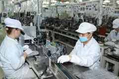 Hô Chi Minh-Ville attire 4,4 milliards de dollars d’investissements dans les zones industrielles. Photo: VNA