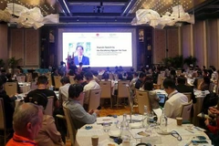 Conférence de promotion de l'investissement Khánh Hòa - Singapour. Photo: VNA